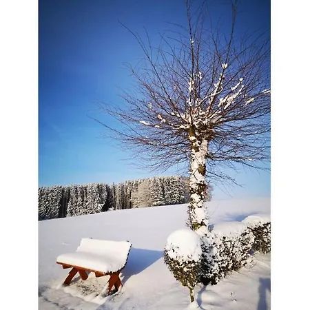 Schmahl Comfortable 펜션 슈라이덴