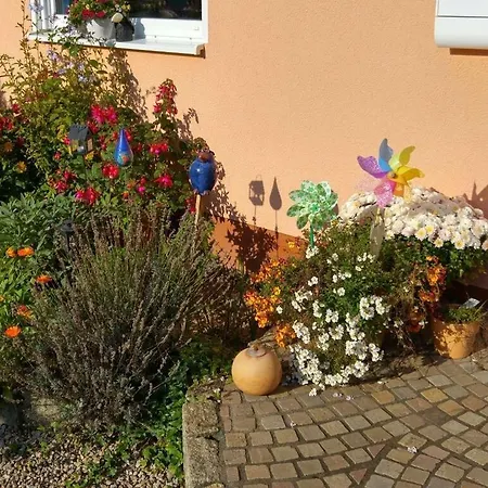 Schmahl Comfortable * 슈라이덴