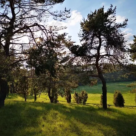 펜션 Schmahl Comfortable *