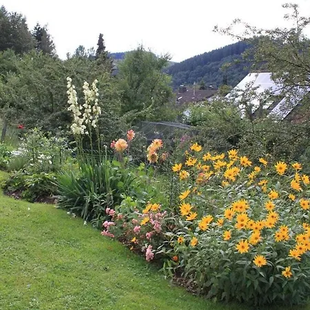 Schmahl Comfortable * 슈라이덴