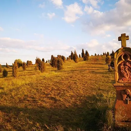 Schmahl Comfortable * 슈라이덴