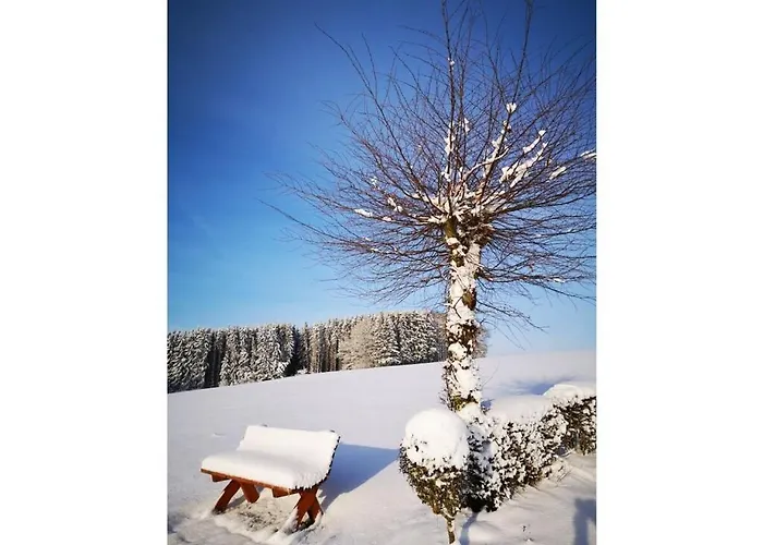 Schmahl Comfortable Tatil Evi Schleiden