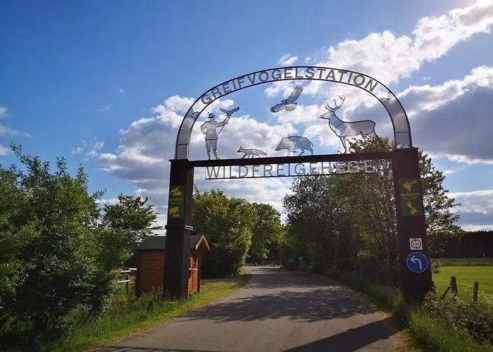 Schmahl Comfortable Tatil Evi Schleiden