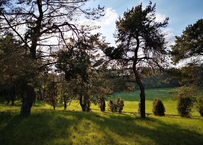 Tatil Evi Schmahl Comfortable *