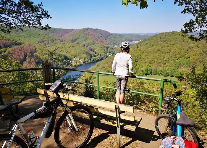 Schmahl Comfortable *