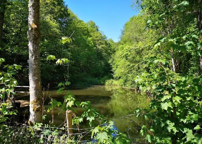 Schmahl Comfortable Schleiden